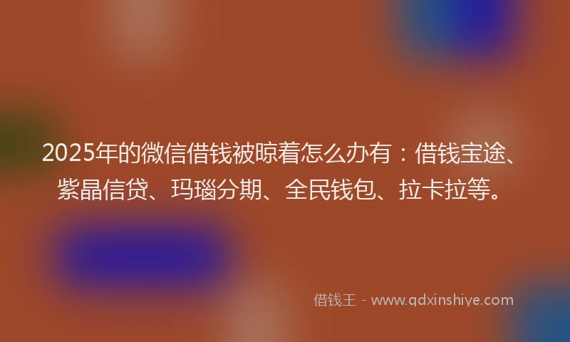 2025年的微信借钱被晾着怎么办有：借钱宝途、紫晶信贷、玛瑙分期、全民钱包、拉卡拉等。