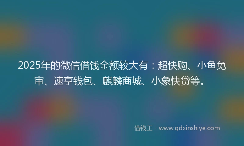 2025年的微信借钱金额较大有：超快购、小鱼免审、速享钱包、麒麟商城、小象快贷等。