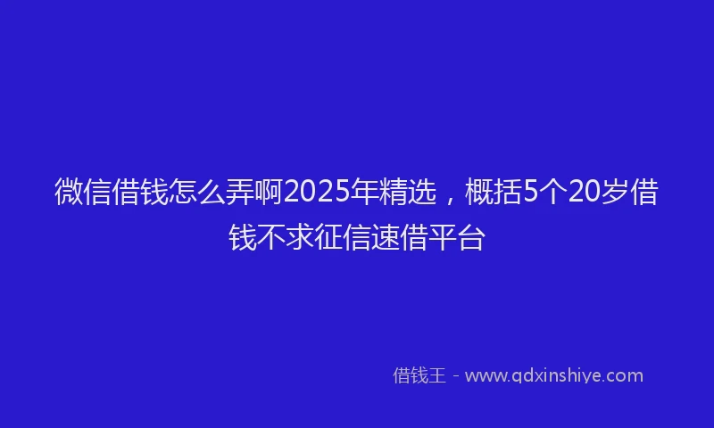 微信借钱怎么弄啊2025年精选，概括5个20岁借钱不求征信速借平台