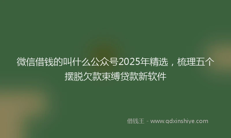 微信借钱的叫什么公众号2025年精选，梳理五个摆脱欠款束缚贷款新软件