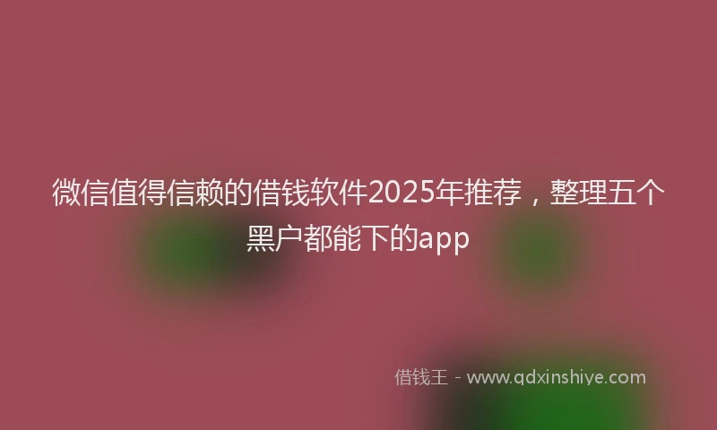 微信值得信赖的借钱软件2025年推荐，整理五个黑户都能下的app