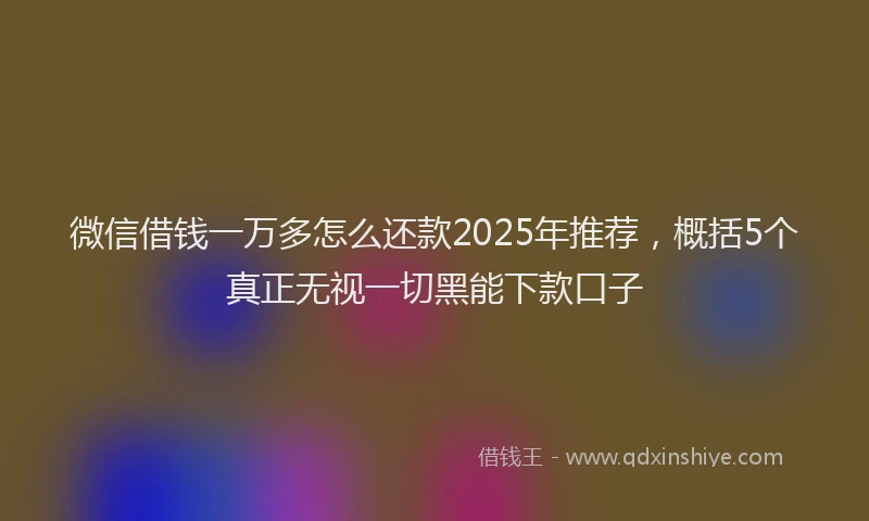 微信借钱一万多怎么还款2025年推荐，概括5个真正无视一切黑能下款口子