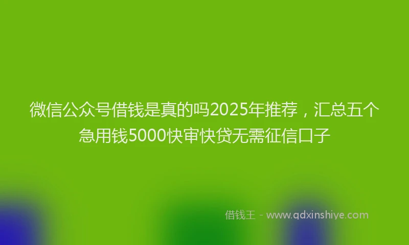 微信公众号借钱是真的吗2025年推荐，汇总五个急用钱5000快审快贷无需征信口子