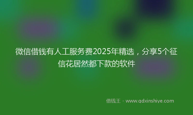 微信借钱有人工服务费2025年精选，分享5个征信花居然都下款的软件