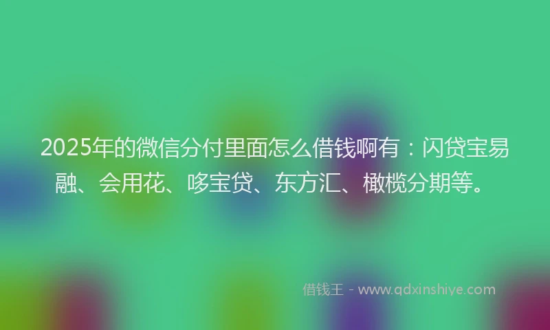 2025年的微信分付里面怎么借钱啊有：闪贷宝易融、会用花、哆宝贷、东方汇、橄榄分期等。