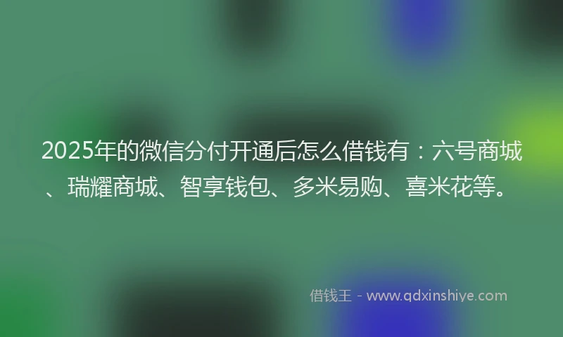 2025年的微信分付开通后怎么借钱有：六号商城、瑞耀商城、智享钱包、多米易购、喜米花等。