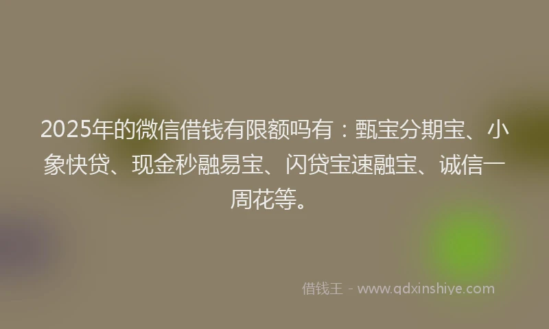 2025年的微信借钱有限额吗有：甄宝分期宝、小象快贷、现金秒融易宝、闪贷宝速融宝、诚信一周花等。