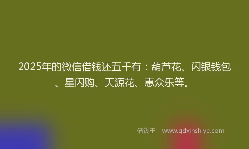 2025年的微信借钱还五千有：葫芦花、闪银钱包、星闪购、天源花、惠众乐等。