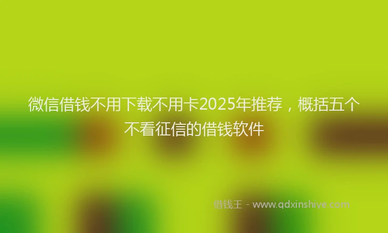 微信借钱不用下载不用卡2025年推荐，概括五个不看征信的借钱软件