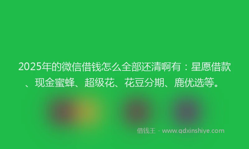 2025年的微信借钱怎么全部还清啊有：星愿借款、现金蜜蜂、超级花、花豆分期、鹿优选等。