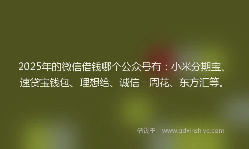2025年的微信借钱哪个公众号有：小米分期宝、速贷宝钱包、理想给、诚信一周花、东方汇等。