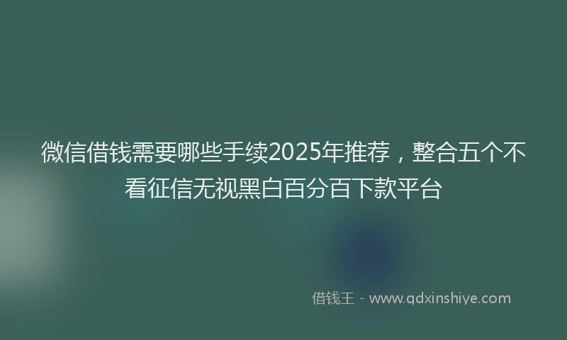 微信借钱需要哪些手续2025年推荐，整合五个不看征信无视黑白百分百下款平台