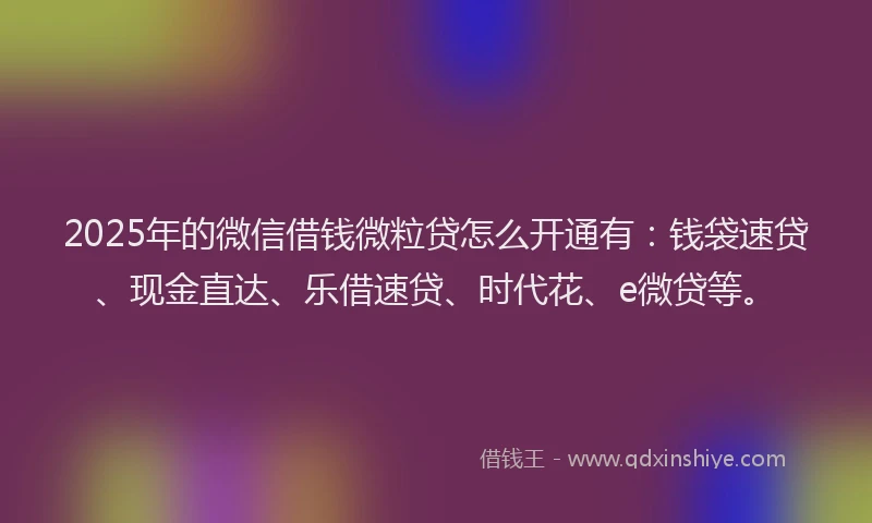 2025年的微信借钱微粒贷怎么开通有：钱袋速贷、现金直达、乐借速贷、时代花、e微贷等。