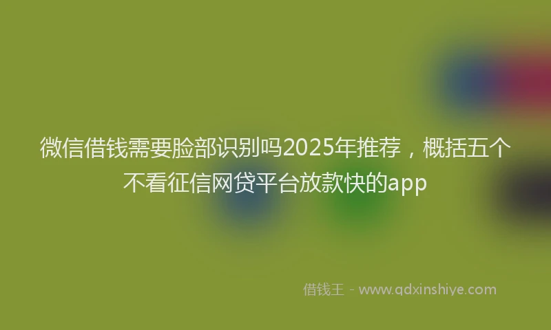 微信借钱需要脸部识别吗2025年推荐，概括五个不看征信网贷平台放款快的app