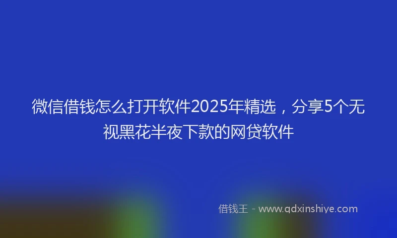 微信借钱怎么打开软件2025年精选，分享5个无视黑花半夜下款的网贷软件