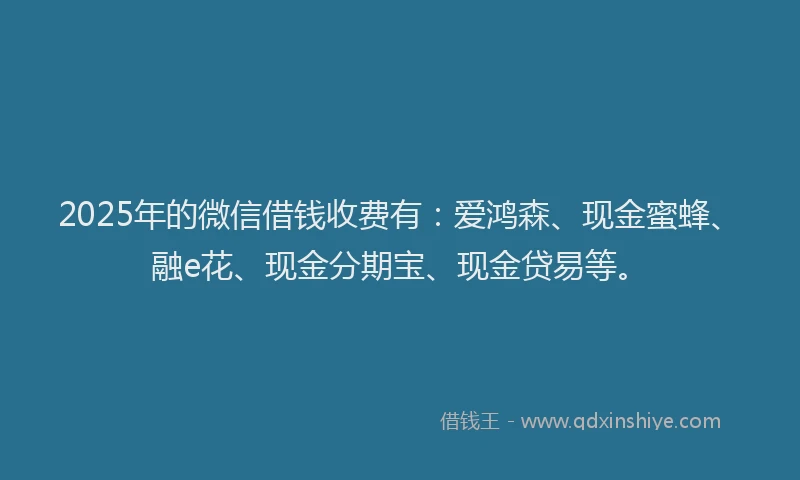 2025年的微信借钱收费有：爱鸿森、现金蜜蜂、融e花、现金分期宝、现金贷易等。