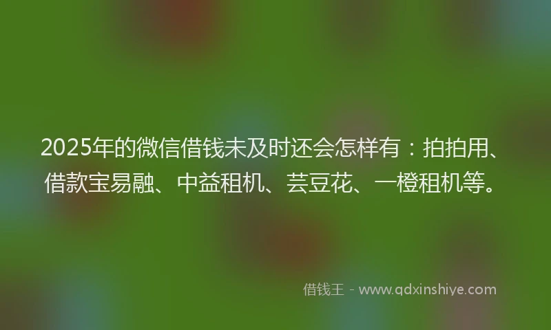 2025年的微信借钱未及时还会怎样有：拍拍用、借款宝易融、中益租机、芸豆花、一橙租机等。