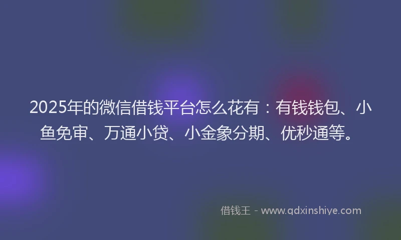 2025年的微信借钱平台怎么花有：有钱钱包、小鱼免审、万通小贷、小金象分期、优秒通等。