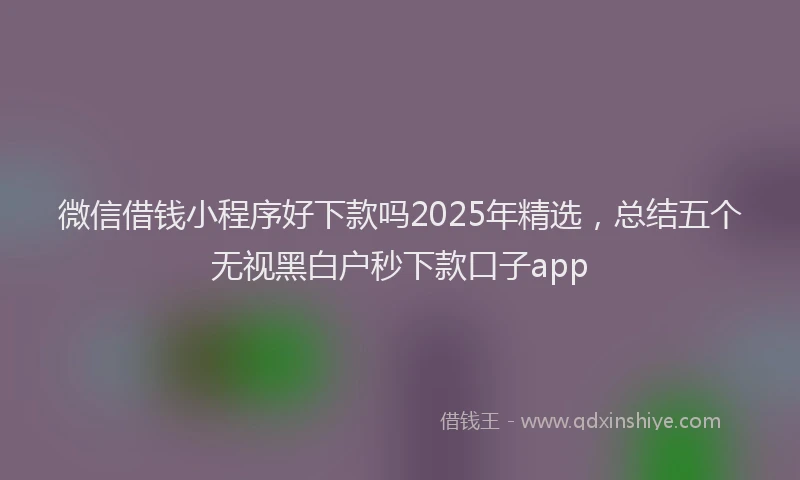 微信借钱小程序好下款吗2025年精选，总结五个无视黑白户秒下款口子app