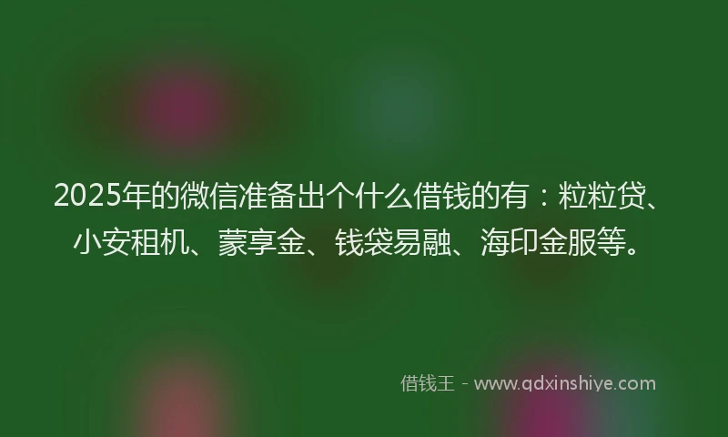 2025年的微信准备出个什么借钱的有：粒粒贷、小安租机、蒙享金、钱袋易融、海印金服等。