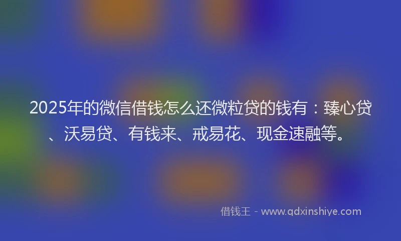 2025年的微信借钱怎么还微粒贷的钱有：臻心贷、沃易贷、有钱来、戒易花、现金速融等。