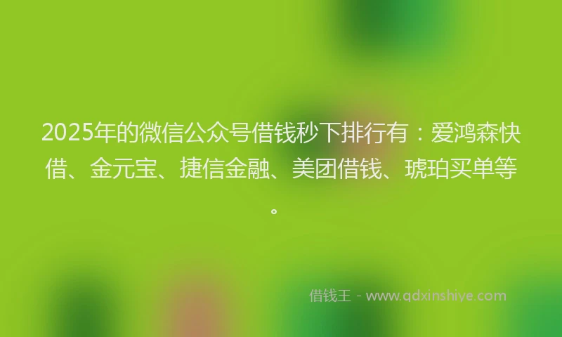 2025年的微信公众号借钱秒下排行有：爱鸿森快借、金元宝、捷信金融、美团借钱、琥珀买单等。