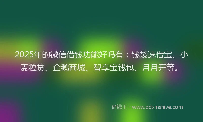 2025年的微信借钱功能好吗有：钱袋速借宝、小麦粒贷、企鹅商城、智享宝钱包、月月开等。