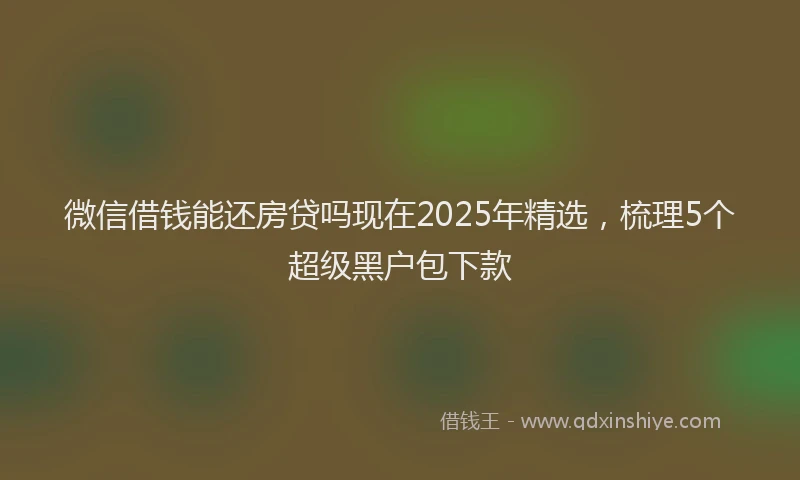 微信借钱能还房贷吗现在2025年精选，梳理5个超级黑户包下款