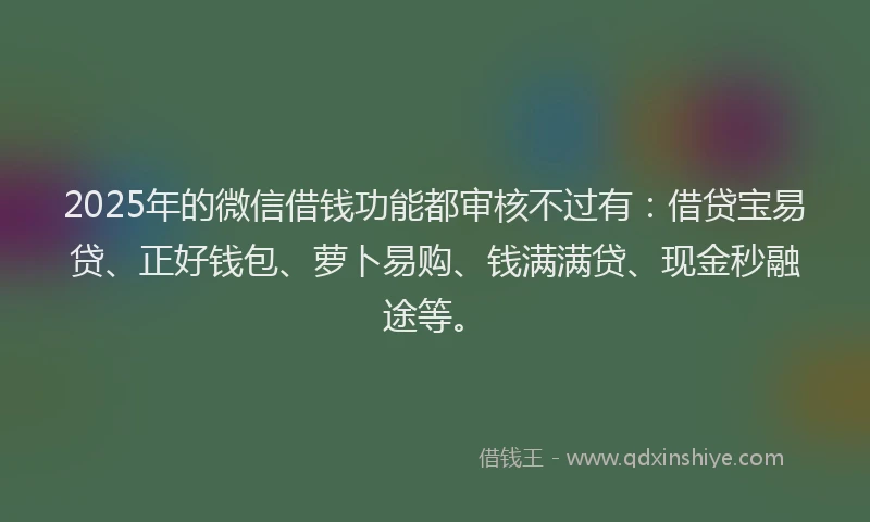 2025年的微信借钱功能都审核不过有：借贷宝易贷、正好钱包、萝卜易购、钱满满贷、现金秒融途等。