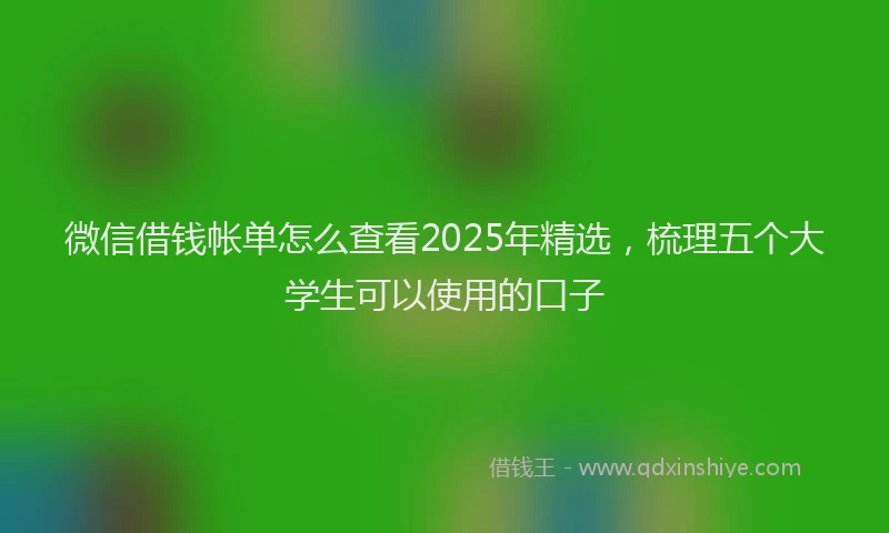 微信借钱帐单怎么查看2025年精选，梳理五个大学生可以使用的口子
