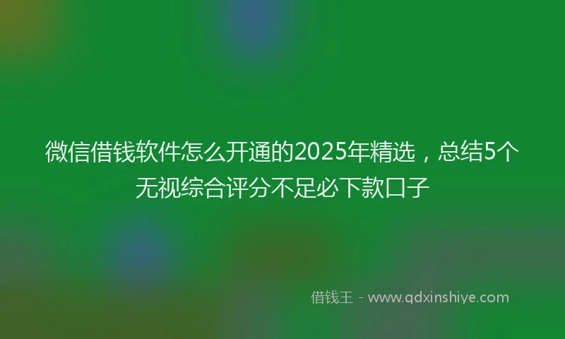 微信借钱软件怎么开通的2025年精选，总结5个无视综合评分不足必下款口子