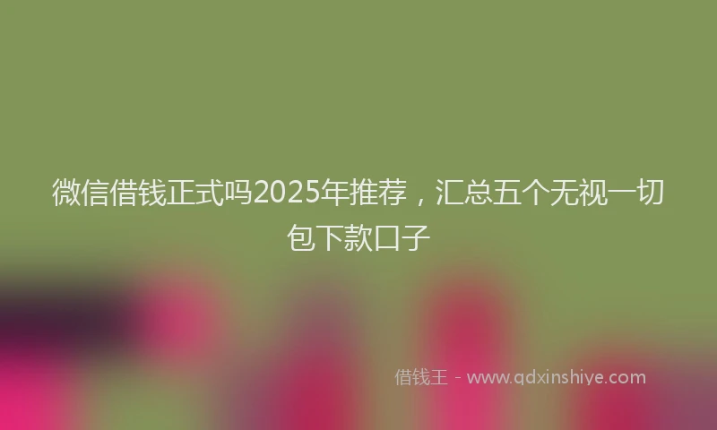 微信借钱正式吗2025年推荐，汇总五个无视一切包下款口子