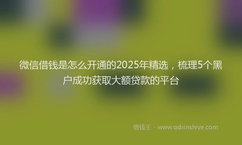 微信借钱是怎么开通的2025年精选，梳理5个黑户成功获取大额贷款的平台