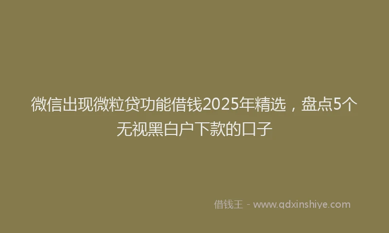 微信出现微粒贷功能借钱2025年精选，盘点5个无视黑白户下款的口子
