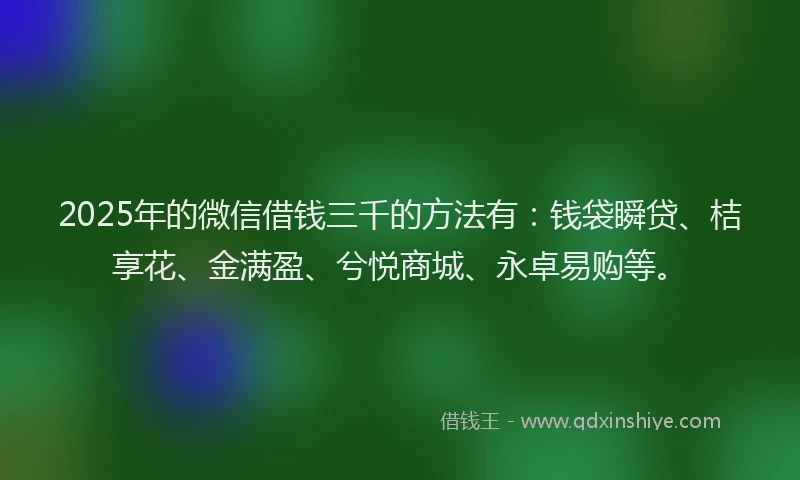 2025年的微信借钱三千的方法有：钱袋瞬贷、桔享花、金满盈、兮悦商城、永卓易购等。