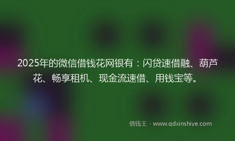 2025年的微信借钱花网银有：闪贷速借融、葫芦花、畅享租机、现金流速借、用钱宝等。