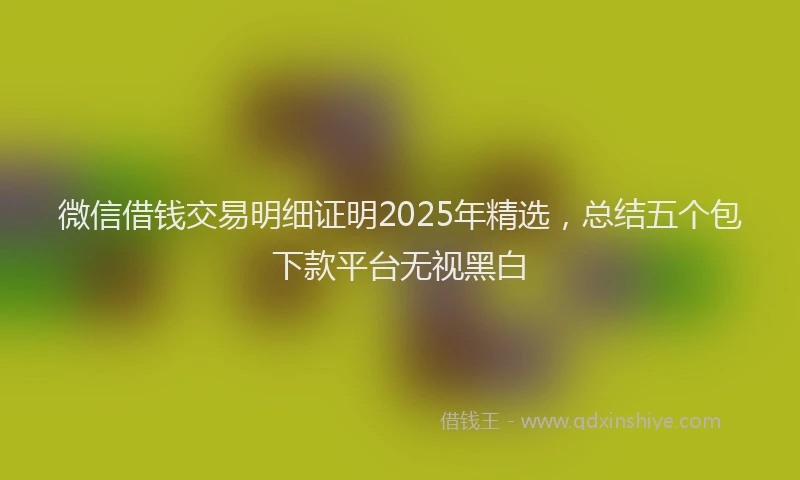 微信借钱交易明细证明2025年精选，总结五个包下款平台无视黑白
