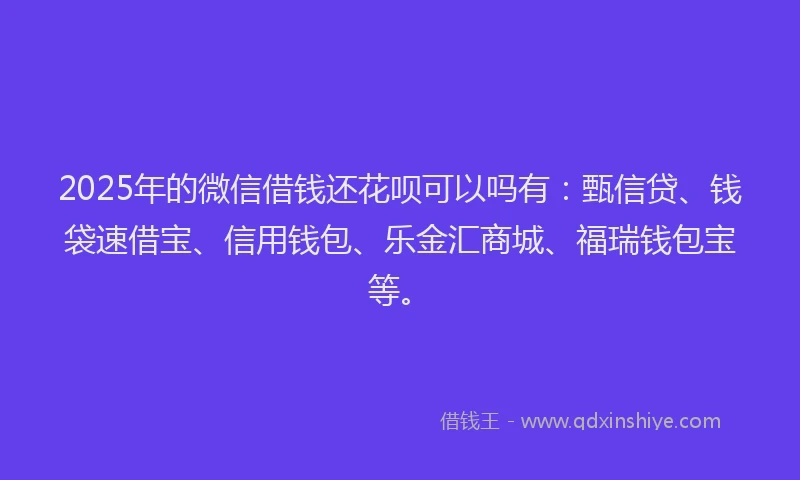 2025年的微信借钱还花呗可以吗有：甄信贷、钱袋速借宝、信用钱包、乐金汇商城、福瑞钱包宝等。