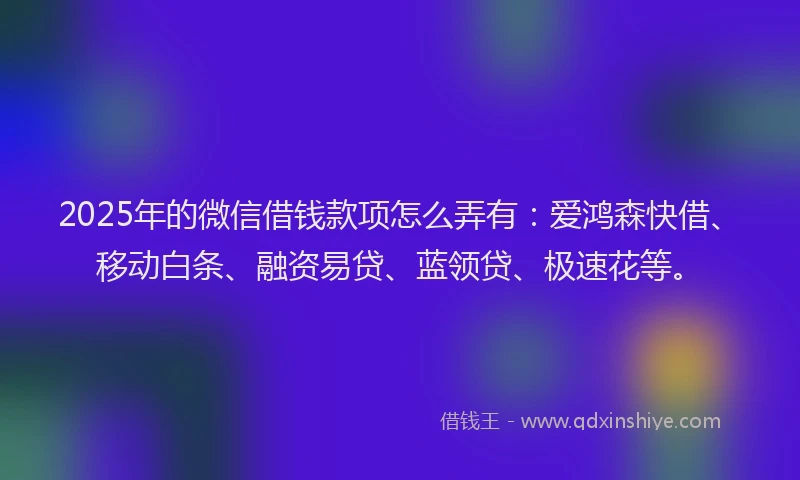 2025年的微信借钱款项怎么弄有：爱鸿森快借、移动白条、融资易贷、蓝领贷、极速花等。