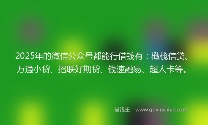 2025年的微信公众号都能行借钱有：橄榄信贷、万通小贷、招联好期贷、钱速融易、超人卡等。