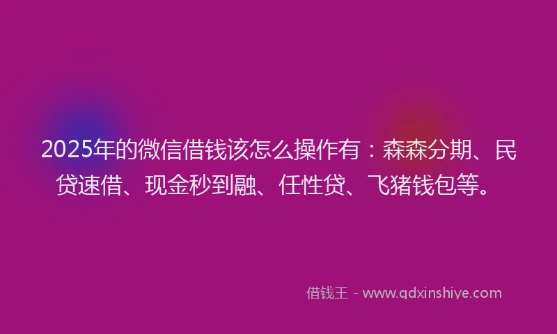 2025年的微信借钱该怎么操作有：森森分期、民贷速借、现金秒到融、任性贷、飞猪钱包等。