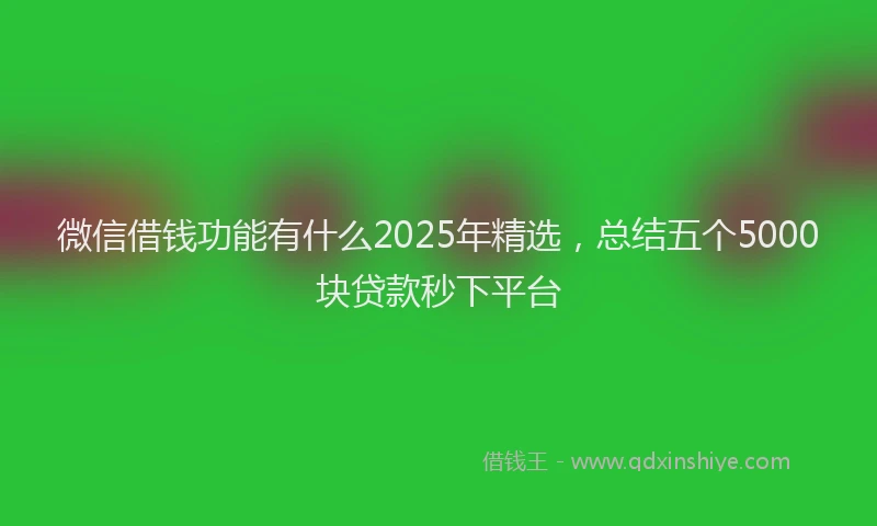 微信借钱功能有什么2025年精选，总结五个5000块贷款秒下平台