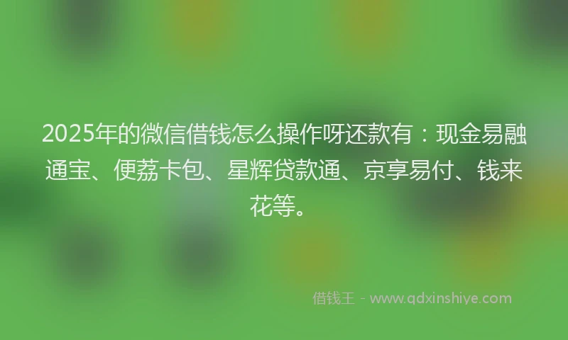 2025年的微信借钱怎么操作呀还款有：现金易融通宝、便荔卡包、星辉贷款通、京享易付、钱来花等。