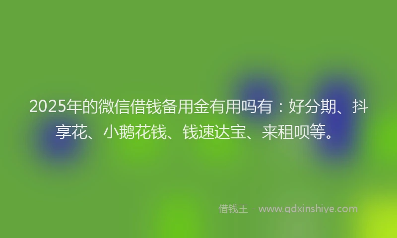2025年的微信借钱备用金有用吗有：好分期、抖享花、小鹅花钱、钱速达宝、来租呗等。
