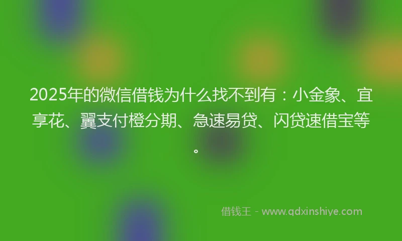 2025年的微信借钱为什么找不到有：小金象、宜享花、翼支付橙分期、急速易贷、闪贷速借宝等。