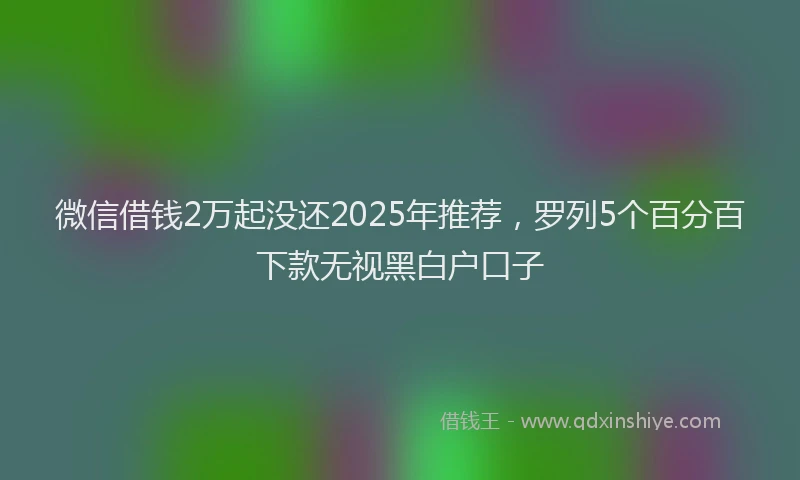 微信借钱2万起没还2025年推荐，罗列5个百分百下款无视黑白户口子