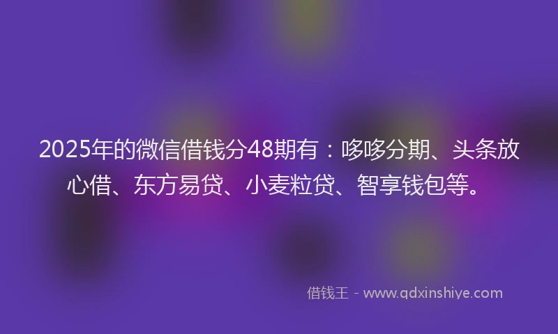 2025年的微信借钱分48期有：哆哆分期、头条放心借、东方易贷、小麦粒贷、智享钱包等。