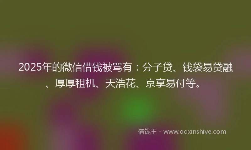 2025年的微信借钱被骂有：分子贷、钱袋易贷融、厚厚租机、天浩花、京享易付等。