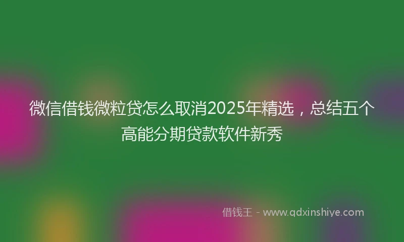 微信借钱微粒贷怎么取消2025年精选，总结五个高能分期贷款软件新秀