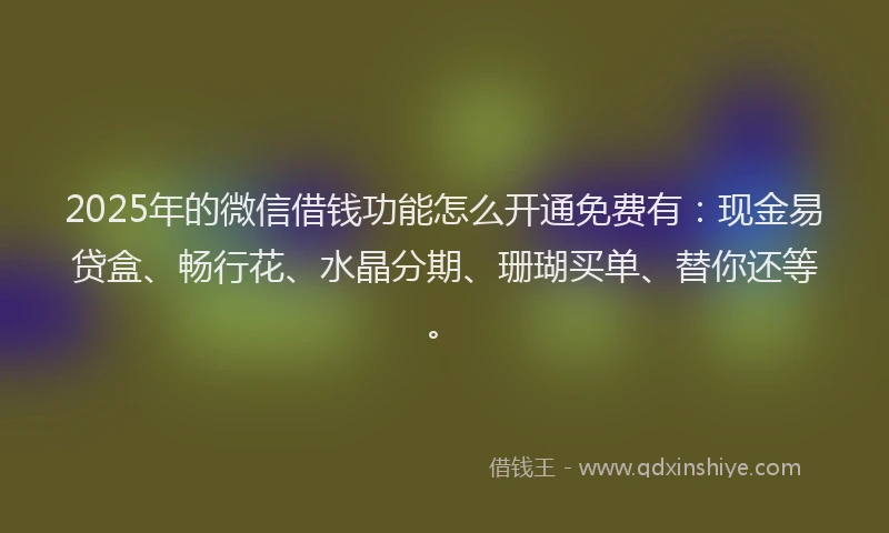 2025年的微信借钱功能怎么开通免费有：现金易贷盒、畅行花、水晶分期、珊瑚买单、替你还等。